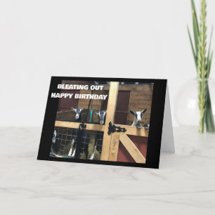 "HAPPY 40TH BIRTHDAY" IS EEN LEUKE GEIT KAART