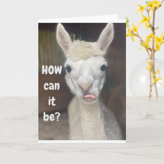 "HAPPY 40th BIRTHDAY" van WIDE EYED LLAMA Kaart (Gele Bloem)