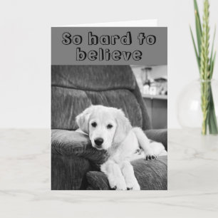 HAPPY ***40th *** VERJAARDAG VOOR JOU van SCHATTIG Kaart