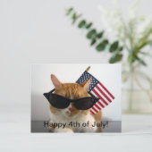 Happy 4th of July Cool Cat met Vlag Briefkaart (Staand voorkant)
