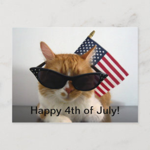 Happy 4th of July Cool Cat met Vlag Briefkaart