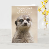 Happy 50th Birthday Meerkat wenskaart Kaart (Gele Bloem)