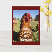 "HAPPY 50th BIRTHDAY" VAN ÉÉN COOL CHICKEN Kaart (Gele Bloem)