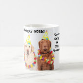 Happy 50th Funny Birthday Dog Mok (Center)