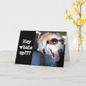 HAPPY **70th BIRTHDAY**TIME TO CELEBRATE!!!! Kaart (Gele Bloem)