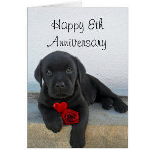 Happy 8th Jubileum Labrador puppy wenskaart
