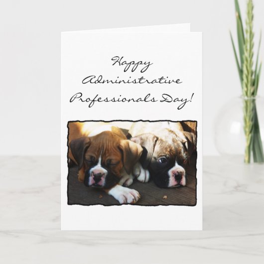 Happy Administrative Professionals Day Boxer Card Kaart (Voorkant)