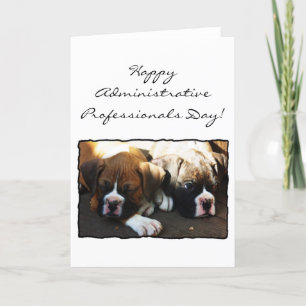 Happy Administrative Professionals Day Boxer Card Kaart