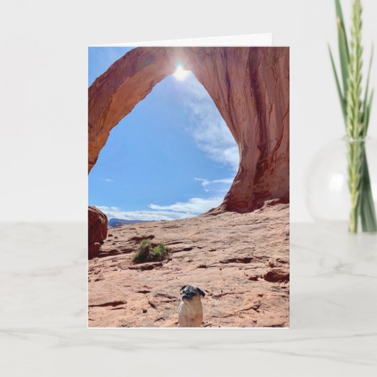 Happy Afstuderen Dog Kaart | Lily the Pug (Voorkant)