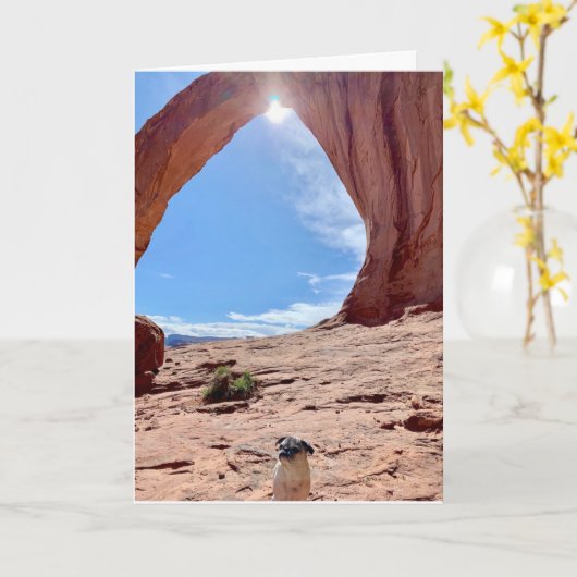 Happy Afstuderen Dog Kaart | Lily the Pug (Gele Bloem)