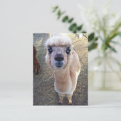 Happy alpaca zegt hallo briefkaart (Staand voorkant)