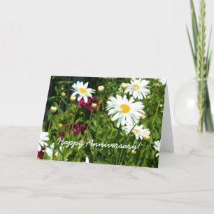 Happy Anniversary Shasta Daisy Greeting card Kaart