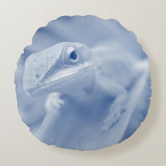 Happy Anole Rond Kussen