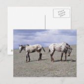 Happy Appys Briefkaart (Voorkant / Achterkant)