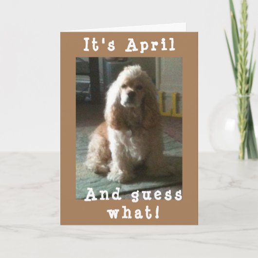 HAPPY *APRIL* BIRTHDAAG VAN CUTE COCKER SPANIEL KAART (Voorkant)