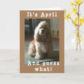 HAPPY *APRIL* BIRTHDAAG VAN CUTE COCKER SPANIEL KAART (Gele Bloem)