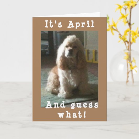 HAPPY *APRIL* BIRTHDAAG VAN CUTE COCKER SPANIEL KAART (Gele Bloem)