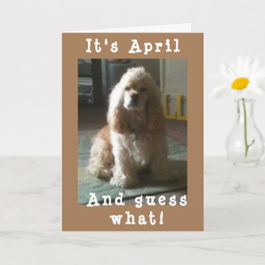 HAPPY *APRIL* BIRTHDAAG VAN CUTE COCKER SPANIEL KAART (Kleine Plant)