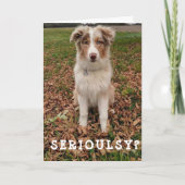 HAPPY *APRIL* BIRTHDAY VANAF EEN ZEER SLIMME AUSSI KAART (Voorkant)