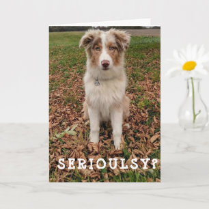 HAPPY *APRIL* BIRTHDAY VANAF EEN ZEER SLIMME AUSSI KAART