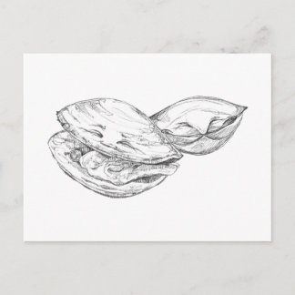 Happy As A Clam Postcard Briefkaart