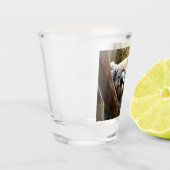 Happy Australian Koala Beer in Tree, heet glas (Links)