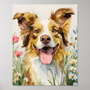 Happy Australian Shepherd in Flowers – Waterverf Poster