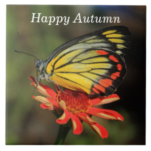 Happy Autumn Butterfly Tegeltje