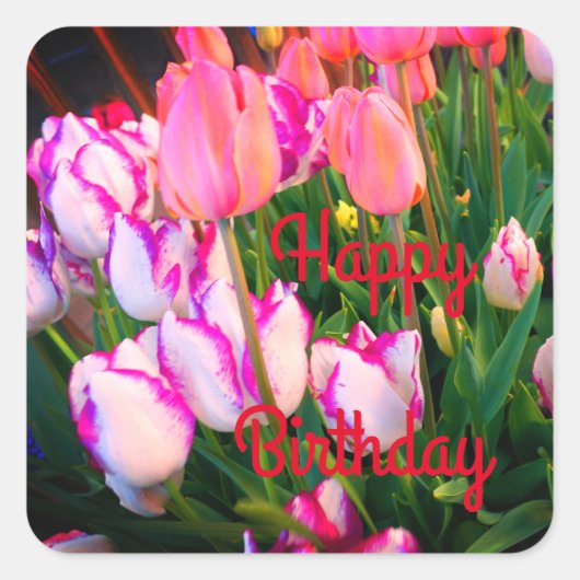 Happy Bday Tulips Peace Flame & Affaire #2 Vierkante Sticker (Voorkant)