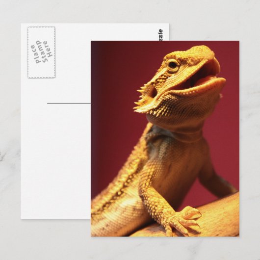 Happy Bearded Dragon Briefkaart (Voorkant / Achterkant)