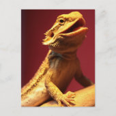 Happy Bearded Dragon Briefkaart (Voorkant)