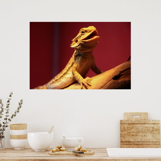 Happy Bearded Dragon Poster (Keuken)
