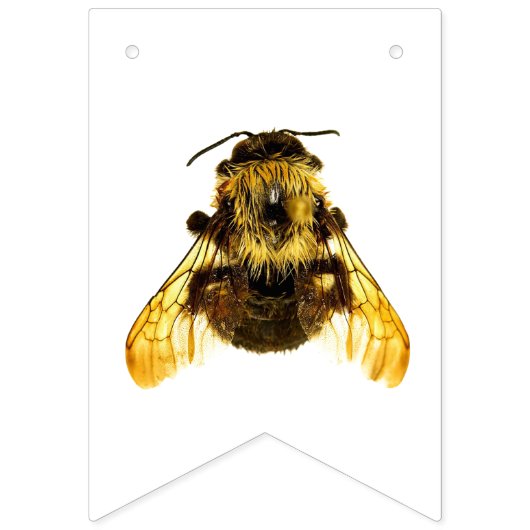 Happy Bee Day BumbleBee Verjaardag Vlaggetjes (Eerste vlag)
