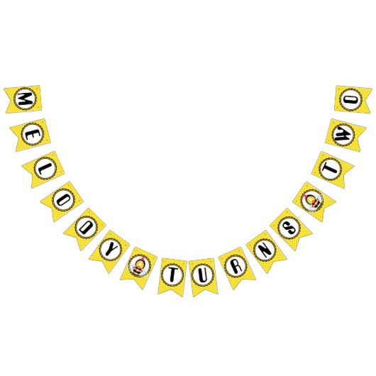 Happy Bee Girl Birthday Bunting Flag Vlaggetjes (Alle)