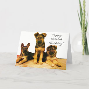 Happy Belated Birthday Shepherd puppies kaart