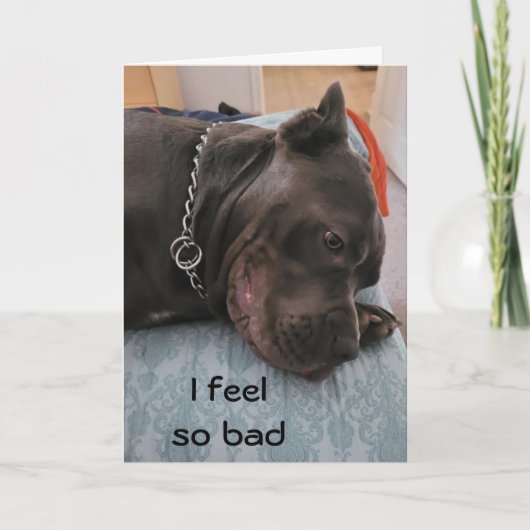 HAPPY BELATED BIRTHDAY - VOEL ZO GARANTIE KAART (Voorkant)