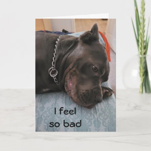 HAPPY BELATED BIRTHDAY - VOEL ZO GARANTIE KAART