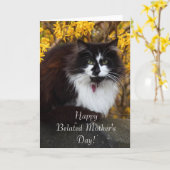 Happy Belated Moederdag Cat wenskaart Kaart (Gele Bloem)