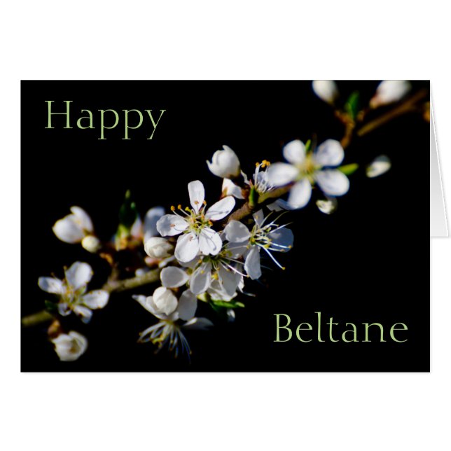 Happy Beltane (lentesbloesem) (Voorkant Horizontaal)