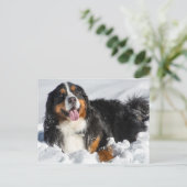 Happy Bernese Mountain Dog in Winter Snow Briefkaart (Staand voorkant)