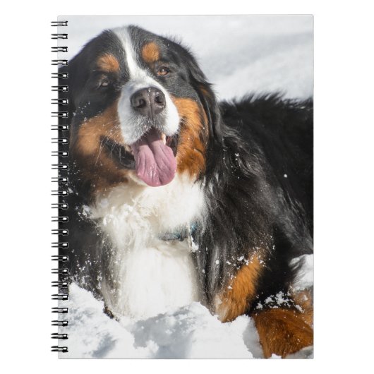Happy Bernese Mountain Dog in Winter Snow Notitieboek (Voorkant)