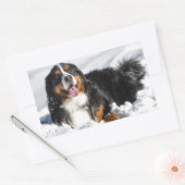 Happy Bernese Mountain Dog in Winter Snow Rechthoekige Sticker (Envelop)