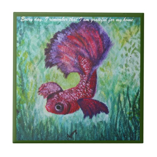 Happy betta fish enjoying his home tegeltje (Voorkant)