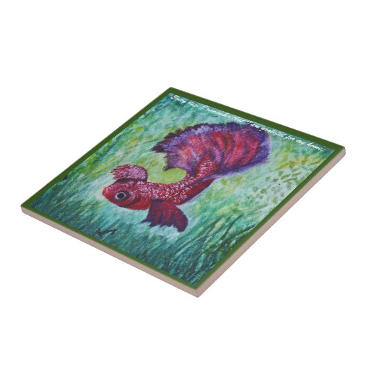 Happy betta fish enjoying his home tegeltje (Zijkant)