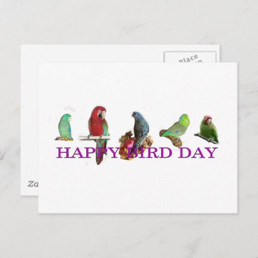 Happy Bird Day Briefkaart (Voorkant / Achterkant)