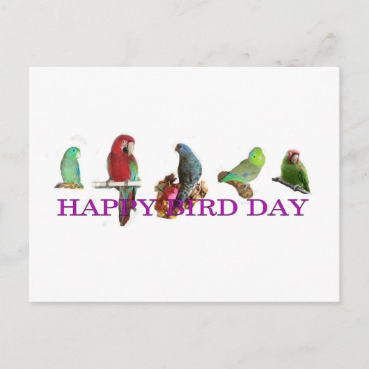 Happy Bird Day Briefkaart (Voorkant)