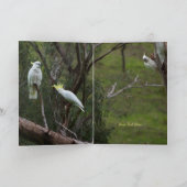 Happy Bird Day Funny Cockatau Birthday Kaart (Binnen)