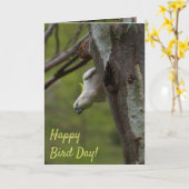 Happy Bird Day Funny Cockatau Birthday Kaart (Gele Bloem)