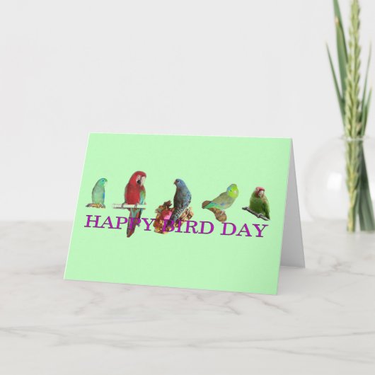 Happy Bird Day Kaart (Voorkant)