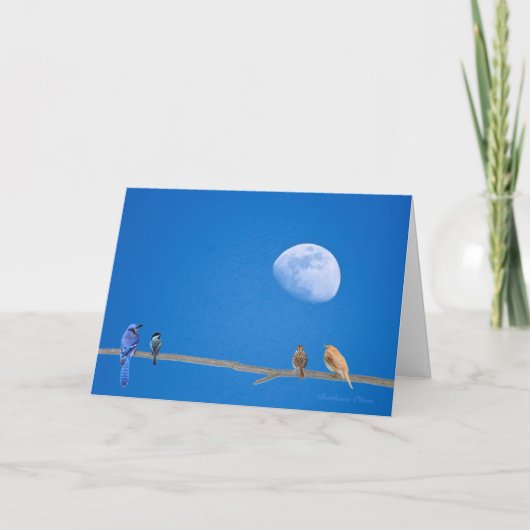 Happy BirdDay — vogels op de draad. Kaart (Voorkant)